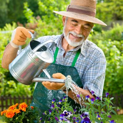 Gardening